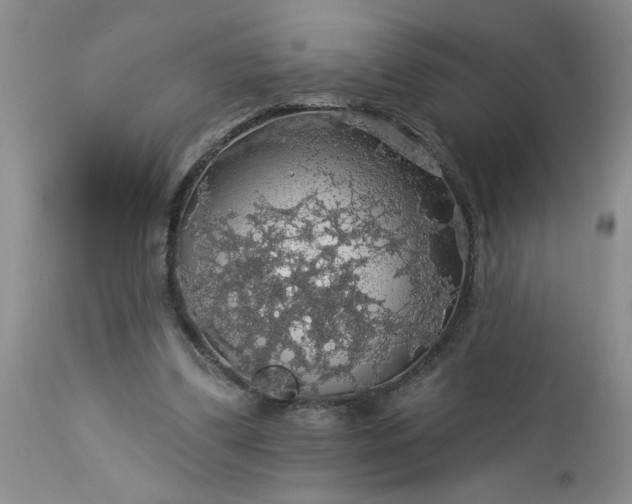 X0000113570299200910021636