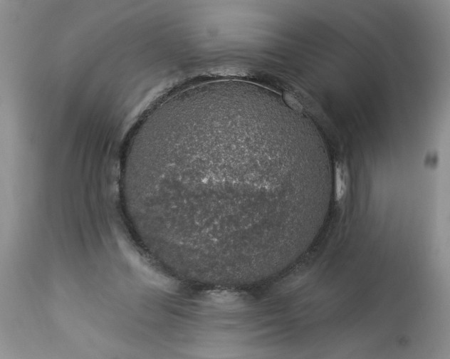 X0000113570300200910021636