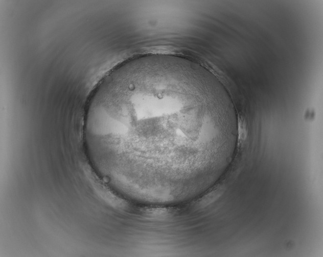 X0000113570301200910021636