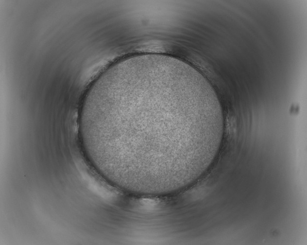 X0000113570302200910021636