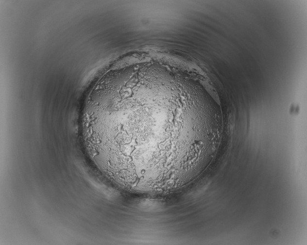 X0000113570303200910021635