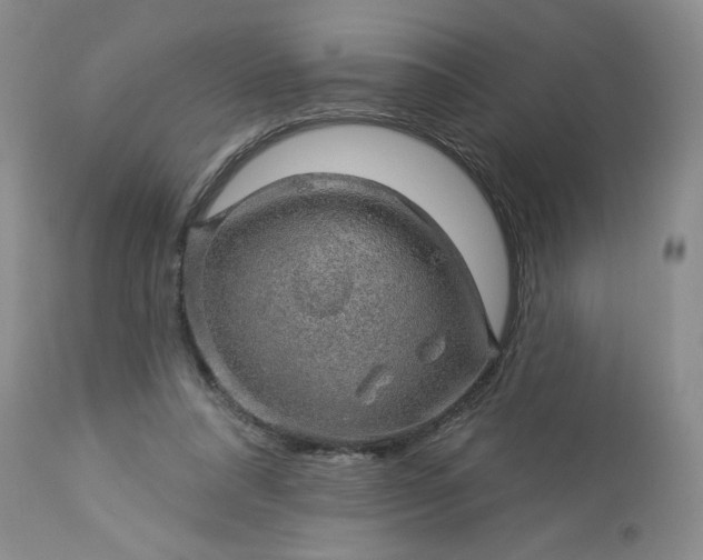 X0000113570304200910021635