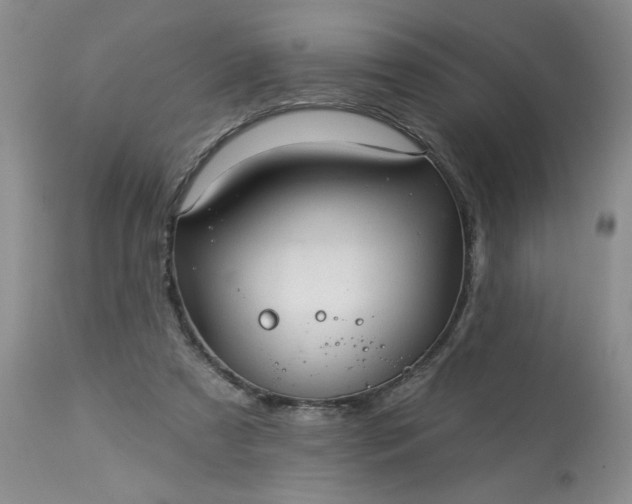 X0000113570305200910021635