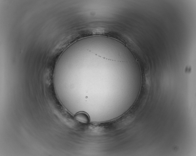 X0000113570311200910021635