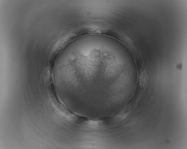 X0000113570314200910021635