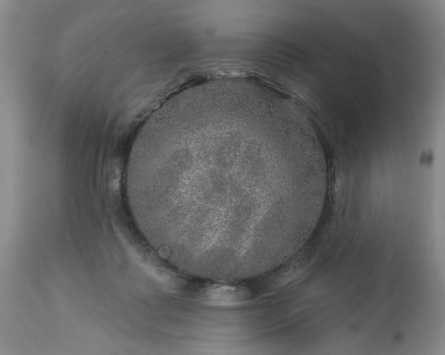 X0000113570315200910021635