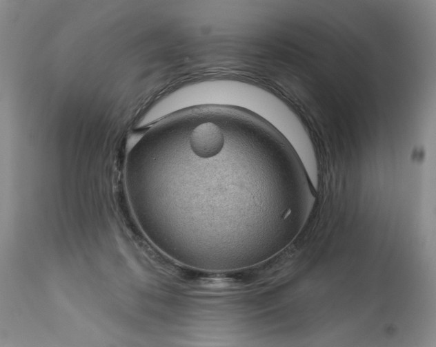 X0000113570316200910021635