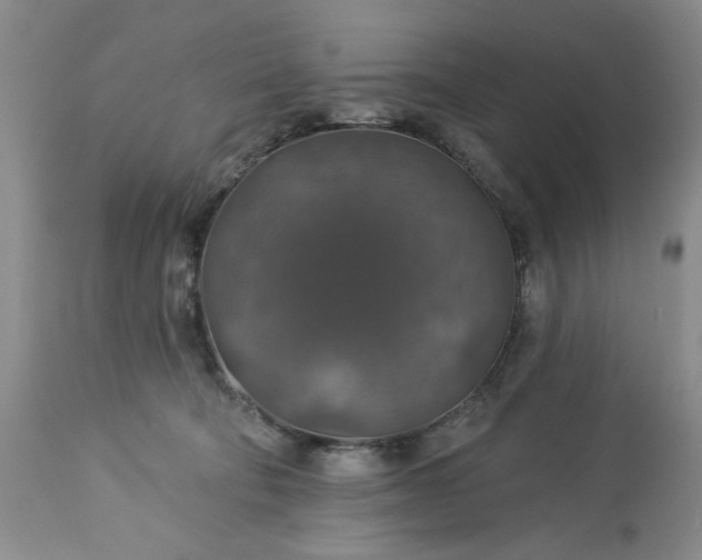 X0000113570322200910021635