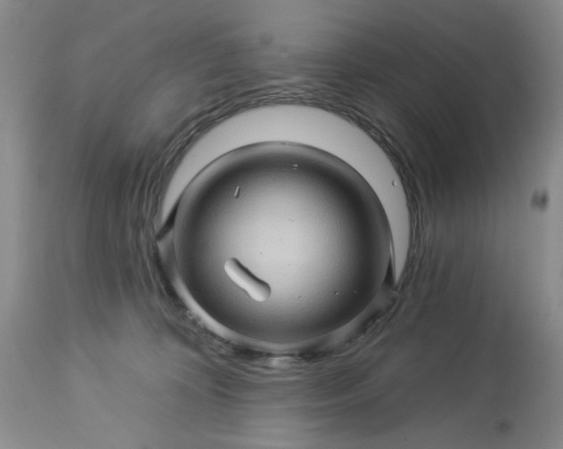 X0000113570324200910021635