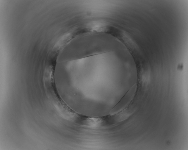 X0000113570328200910021635