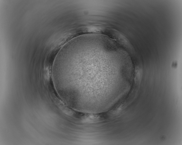 X0000113570329200910021635