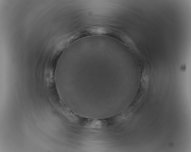 X0000113570330200910021635