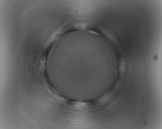 X0000113570332200910021635