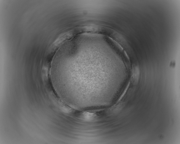 X0000113570333200910021635