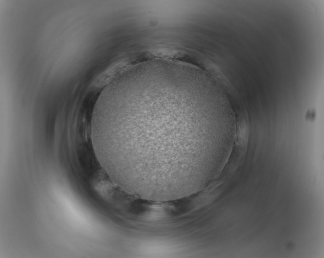 X0000113570334200910021635