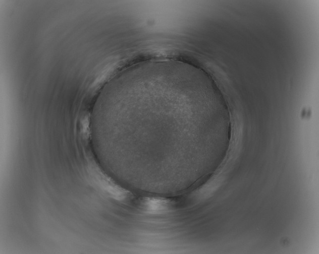 X0000113570336200910021635