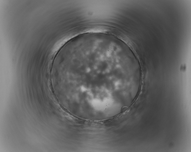 X0000113570337200910021634