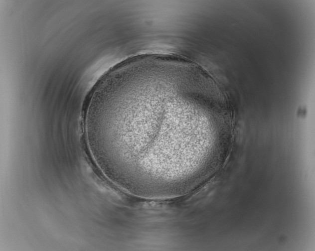 X0000113570338200910021634