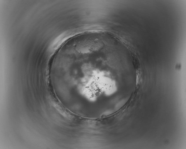 X0000113570339200910021634