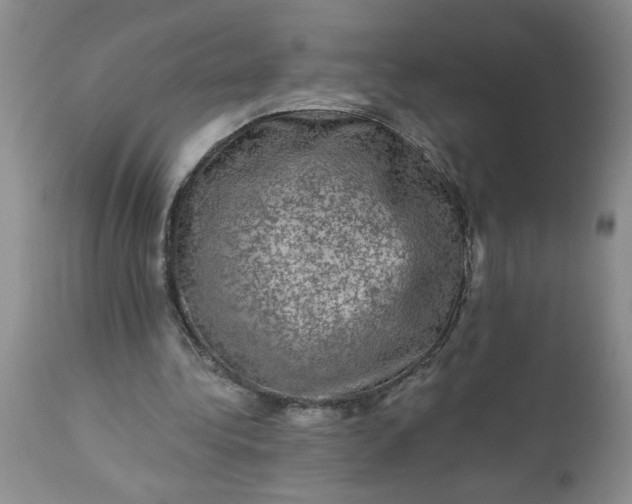 X0000113570340200910021634