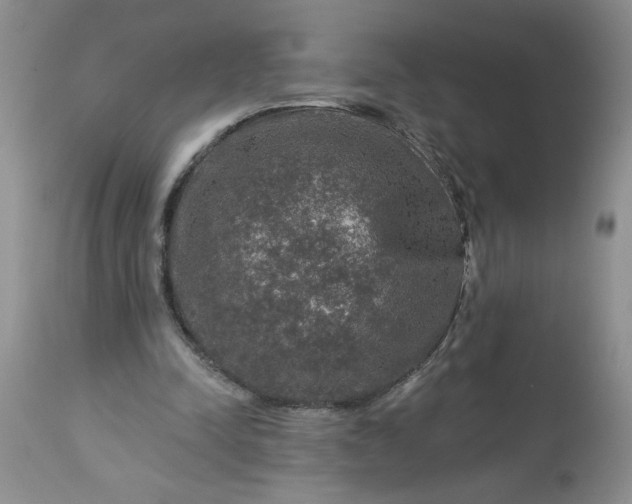 X0000113570342200910021634