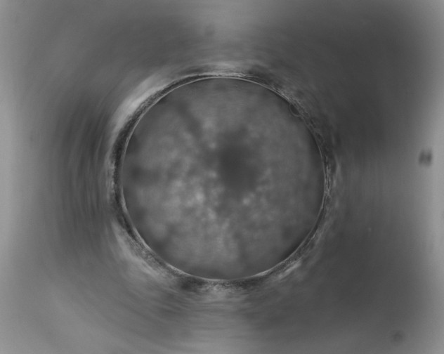 X0000113570343200910021634