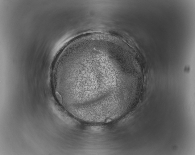 X0000113570344200910021634