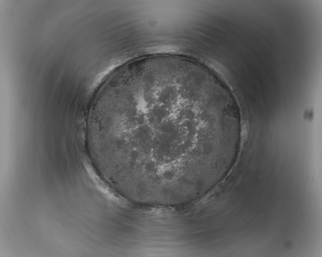 X0000113570345200910021634