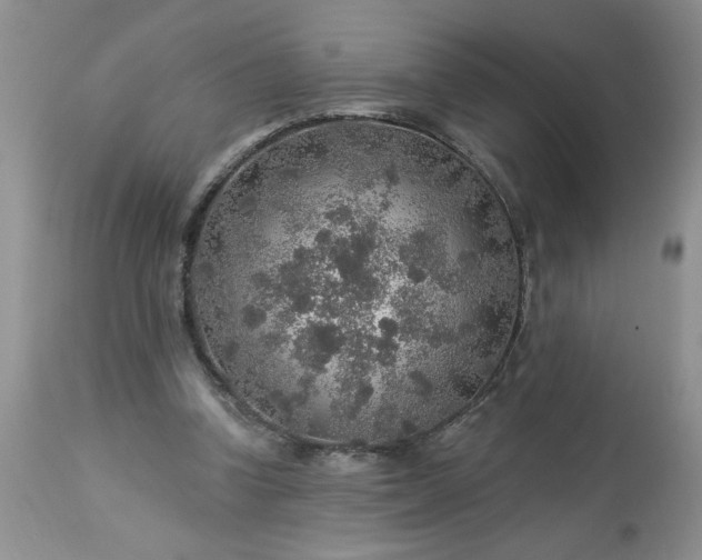 X0000113570346200910021634