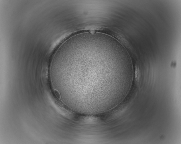 X0000113570348200910021635