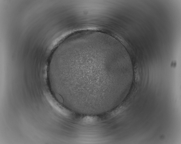 X0000113570350200910021635