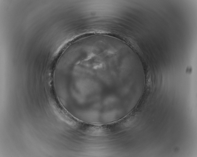 X0000113570351200910021635