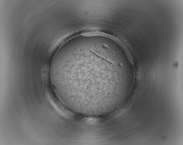 X0000113570352200910021635