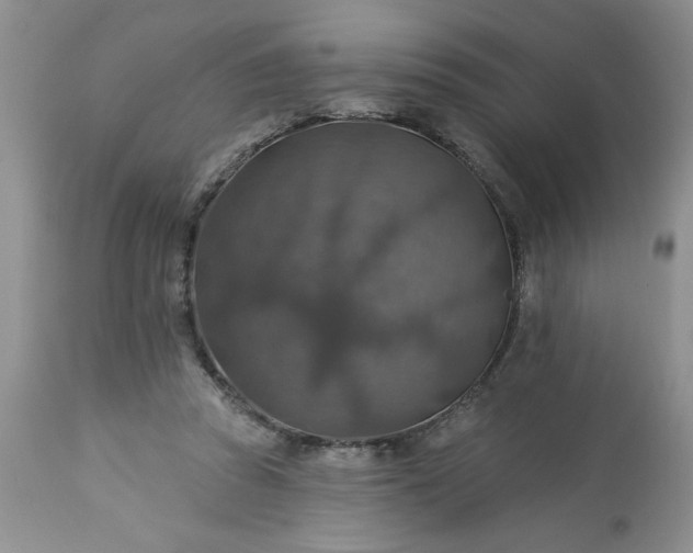 X0000113570353200910021635