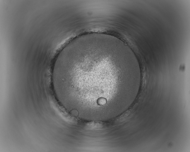 X0000113570354200910021635