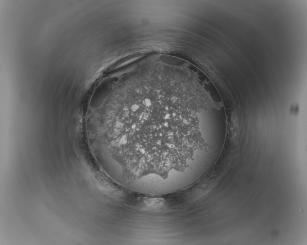 X0000113570355200910021635