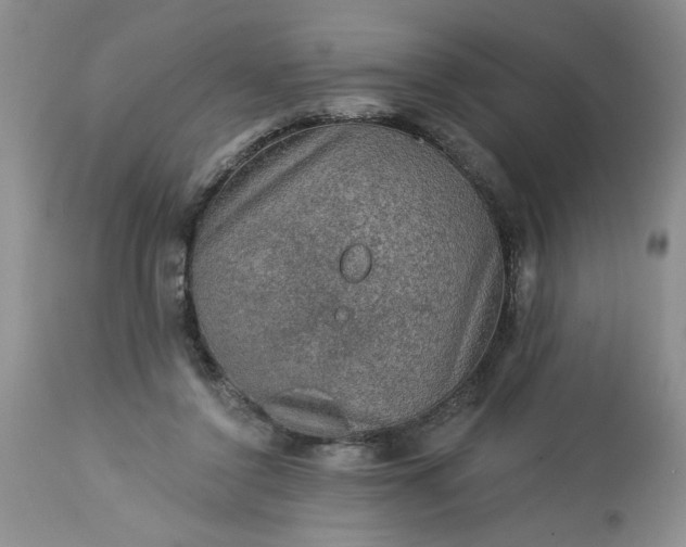 X0000113570356200910021635