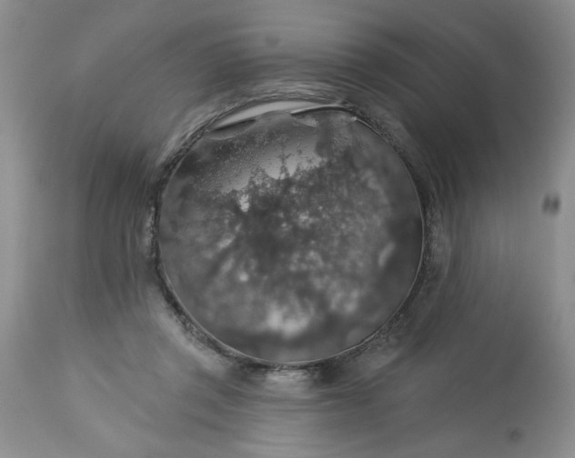 X0000113570357200910021635