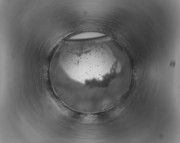 X0000113570359200910021635