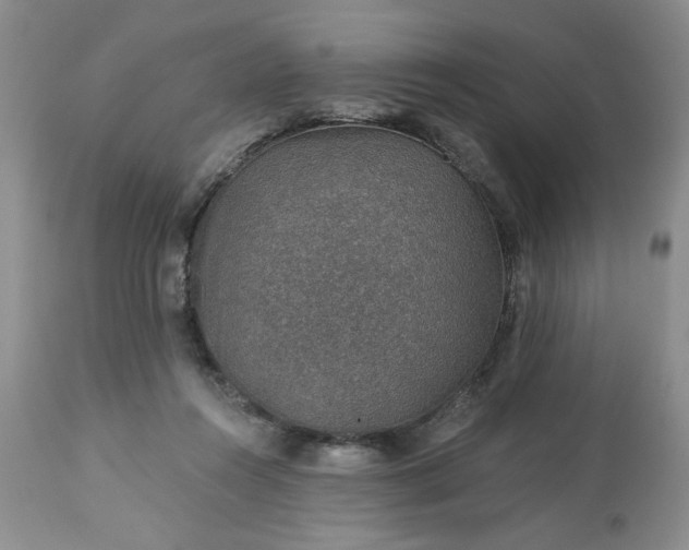 X0000113570360200910021635