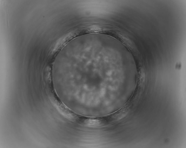 X0000113570361200910021635