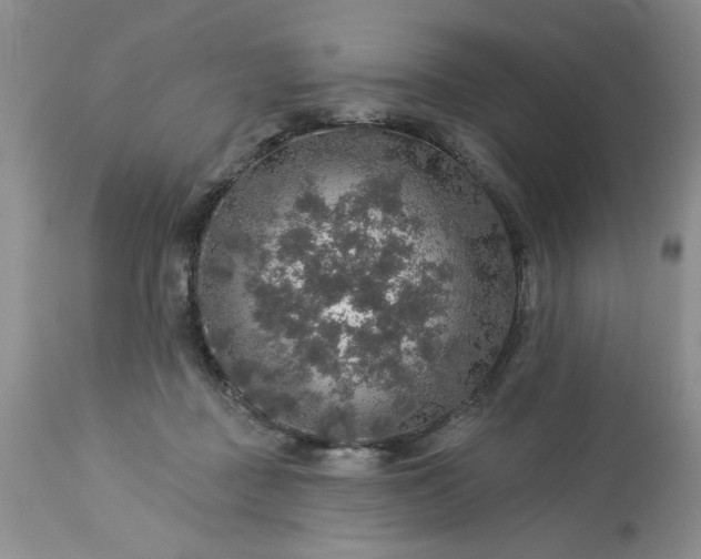 X0000113570363200910021635