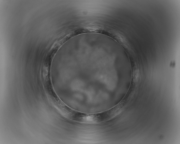 X0000113570365200910021635