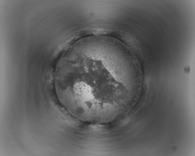 X0000113570367200910021635