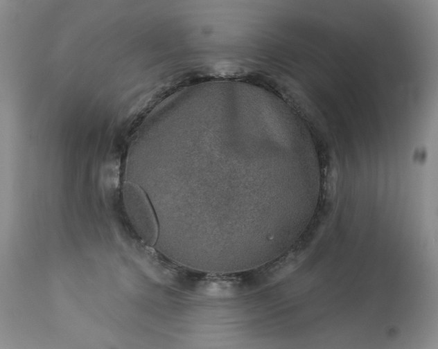 X0000113570368200910021635