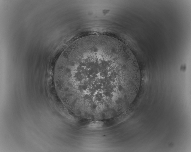 X0000113570369200910021635