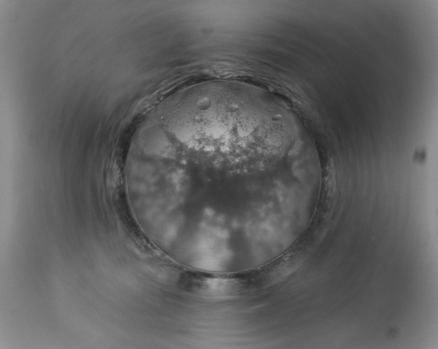 X0000113570371200910021635