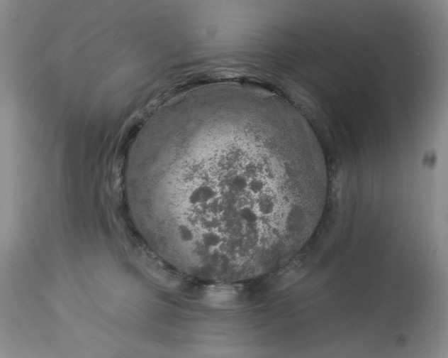 X0000113570373200910021635