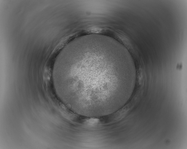 X0000113570374200910021635