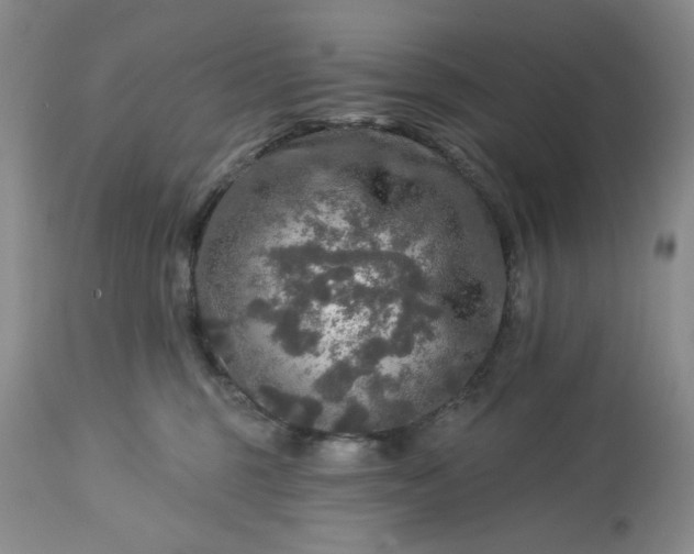 X0000113570375200910021635